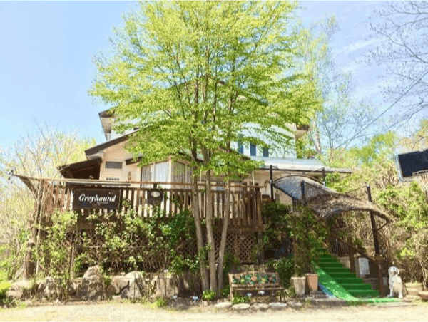 清里の緑と宿の外観